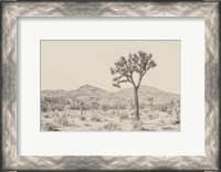 Framed Joshua Tree I Neutral