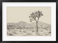 Framed Joshua Tree I Neutral