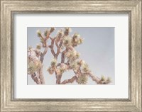 Framed Desert Floral I