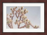 Framed Desert Floral I