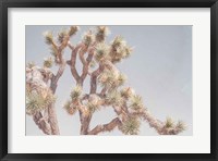 Framed Desert Floral I