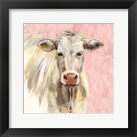 Framed White Cow on Pink