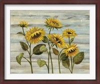 Framed Cottage Sunflowers