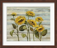 Framed Cottage Sunflowers