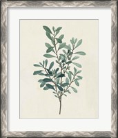 Framed Victorian Garden Greenery I