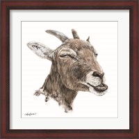 Framed Bill the Goat