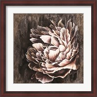 Framed Pale Peony