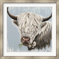 Framed Daisy Coo