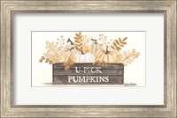 Framed U-Pick Pumpkins