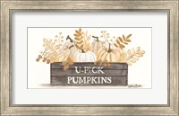 Framed U-Pick Pumpkins