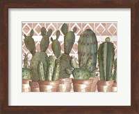 Framed Geo Succulents