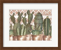 Framed Geo Succulents