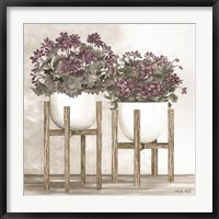 Framed Potted Geraniums