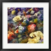 Sea Life III Framed Print