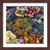Framed Sea Life IV