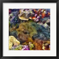 Framed Sea Life IV