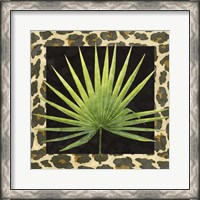 Framed Tropic Collection I