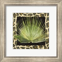 Framed 'Tropic Collection III' border=