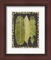 Framed Tropic Collection VI