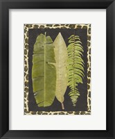 Framed Tropic Collection VI