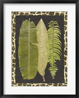 Tropic Collection VI Framed Print