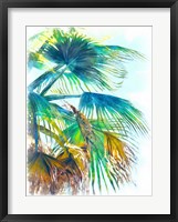 Tropical Glow I Framed Print
