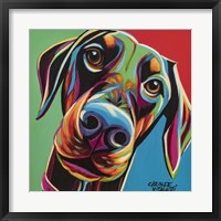 Framed Chroma Dogs I