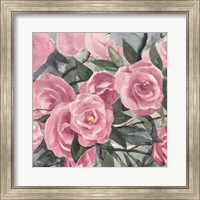Framed 'Watercolor Roses II' border=