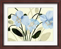 Framed Blue Poppies II