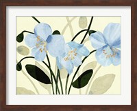 Framed Blue Poppies II