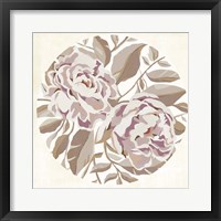 Framed Eye of Peony II