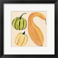 Framed 'Decorative Gourd I' border=