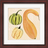 Framed Decorative Gourd I