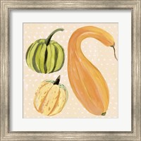 Framed 'Decorative Gourd I' border=