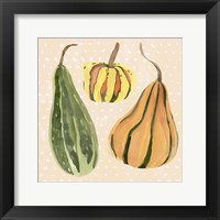 Framed Decorative Gourd II