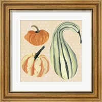 Framed Decorative Gourd III