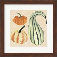 Framed Decorative Gourd III