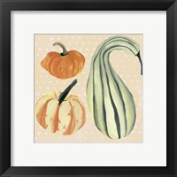 Framed 'Decorative Gourd III' border=