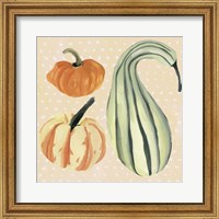 Framed 'Decorative Gourd III' border=