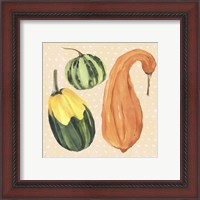 Framed 'Decorative Gourd IV' border=