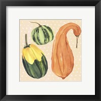 Framed 'Decorative Gourd IV' border=