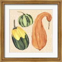 Framed Decorative Gourd IV