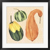 Framed Decorative Gourd IV