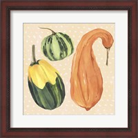 Framed Decorative Gourd IV