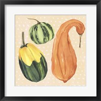 Decorative Gourd IV Framed Print