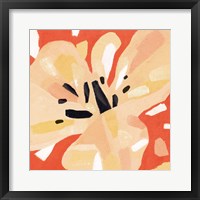 Boomin' Bloom I Framed Print