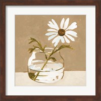 Framed Solitary Daisy II