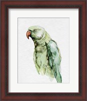 Framed 'Bright Parrot Portrait I' border=