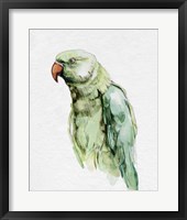 Framed Bright Parrot Portrait I