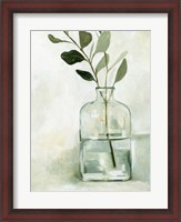 Framed Eucalyptus Branch Still Life I